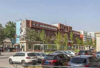 家庭灭蟑螂多少钱